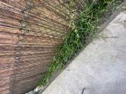 Gardener - Home Improvements