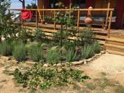 Lawncare