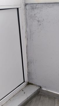 Home Waterproofing