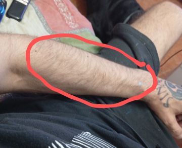 Tatuador - Bem-Estar