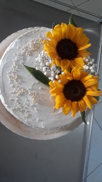 Terra Brasil Bistrô & Café - Vila Real - Drop-off Catering