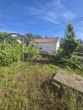 Jardinagem e Relvados