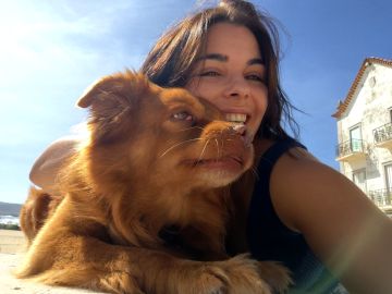 Hotel para Cães