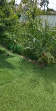 Artificial Turf Specialist