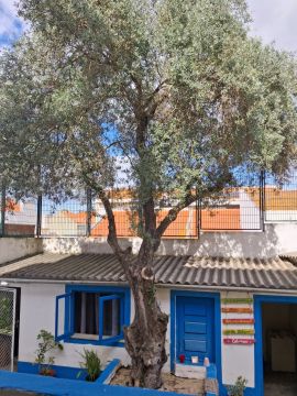 Podador de Árvores