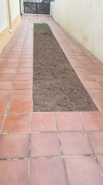 Artificial Turf Specialist