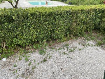 Lawncare