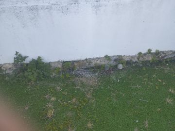 Paisagismo - Casa