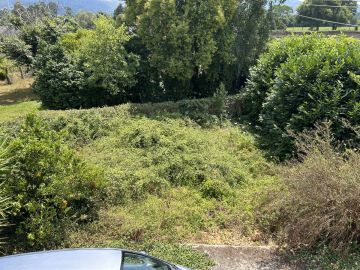 Jardinagem