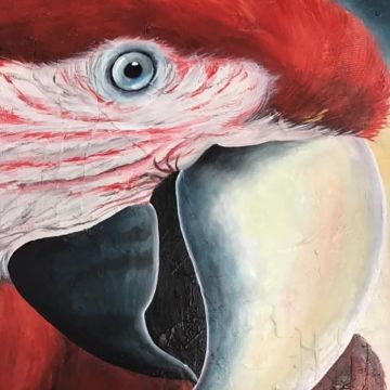 Atelier Meire Gomes - Faro - Cours de dessin, peinture et sculpture