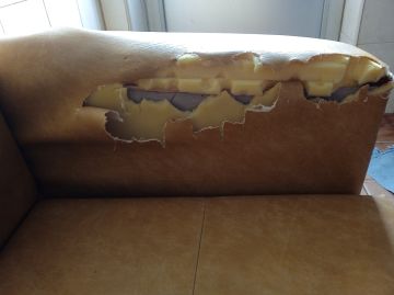 Upholstery Specialist