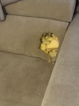 Serviço de Estofador