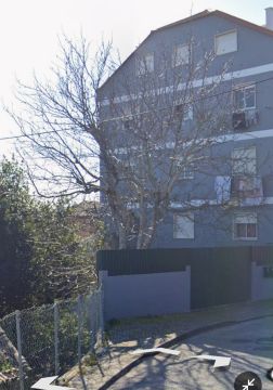 Élagage et entretien des arbres