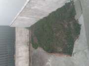 Artificial Turf Specialist