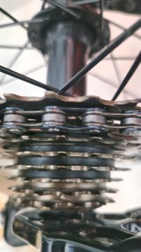 Motorcycle Upholstery Specialist