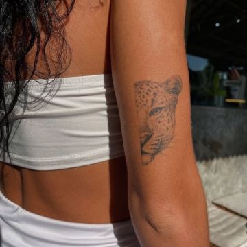 Tatuador - Bem-Estar