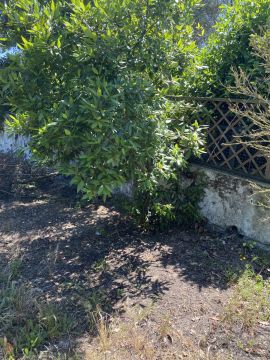 Lawncare - Home Improvements