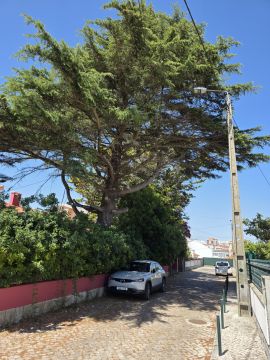 Jardinagem e Relvados