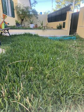Serviço de Jardinagem