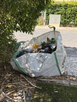 Especialista em Remoção de Lixo e Entulho