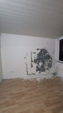 Maler - Haus