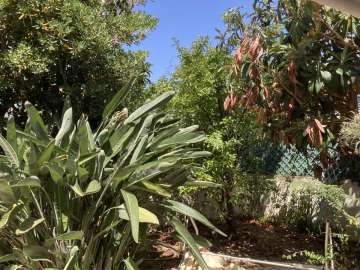 Gardener