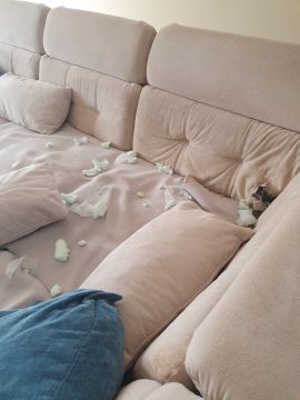Upholstery Service