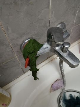 Serviço de Canalização