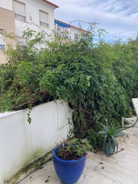 Jardinagem - Jardinagem e Relvados