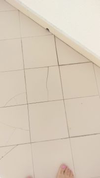 Manutenção e Reparação de Terraço