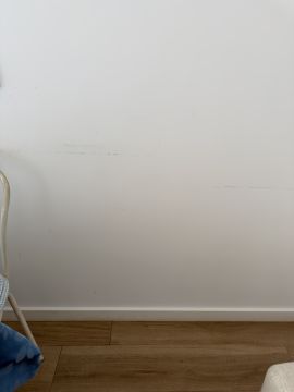 Pintura