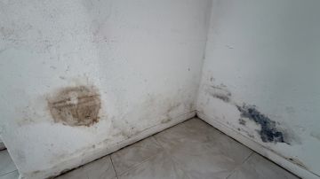 Immobilien