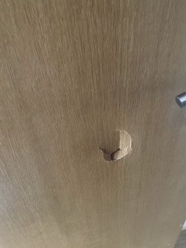 Carpenter
