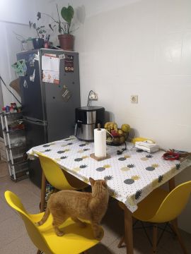 Especialista de Obras
