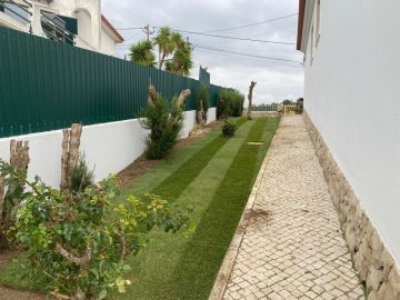 Tree Trimmer - Home Improvements