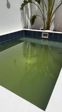 Reparação de Piscina