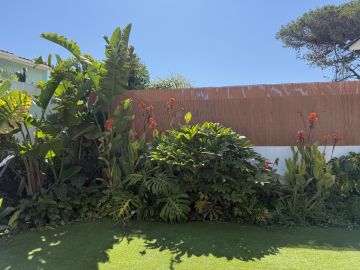 Serviço de Jardinagem - Casa