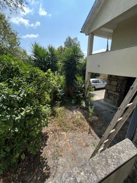 Serviço de Jardinagem