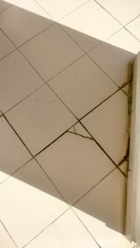 Manutenção e Reparação de Terraço - Estruturas Exteriores
