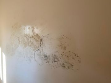 Pintura de Interiores