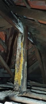 Reparação ou Manutenção de Telhado - Telhados e Coberturas