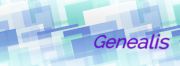 Genealis - Genealogia e Consultoria - Vila Nova de Gaia - Traduções
