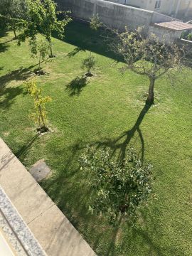 Jardinagem