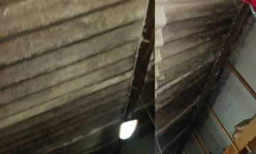 Drop Ceiling professional
