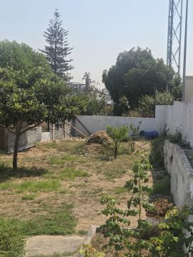 Jardinagem e Relvados