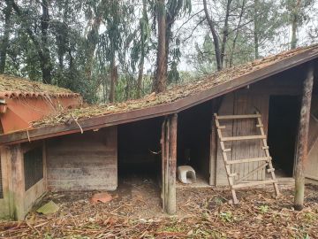 Reparação ou Manutenção de Telhado