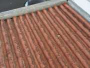 Limpeza de Telhado - Telhados e Coberturas
