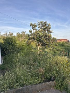 Serviço de Jardinagem
