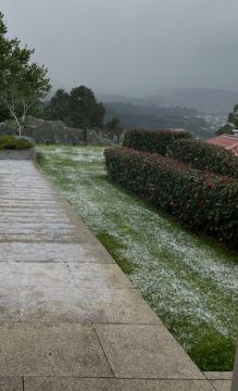 Servicio de Jardinero
