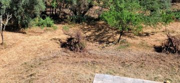 Jardinagem e Relvados